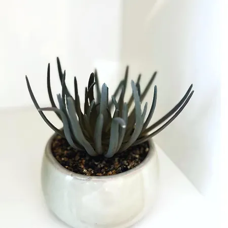 Maison Charmante - Pro & Famille - Confort - 5 * Valenciennes