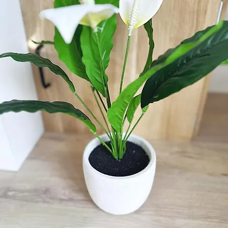 Maison Charmante - Pro & Famille - Confort - 5 Prázdninový dům