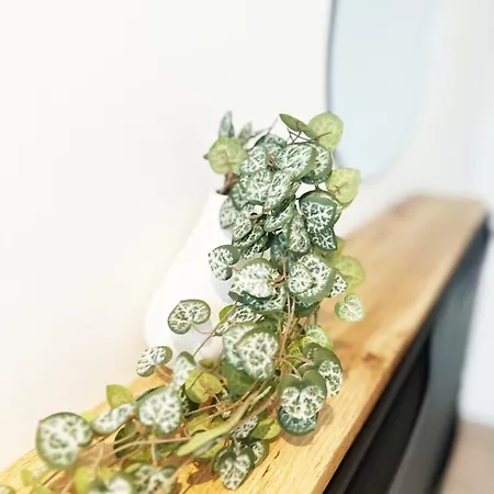 Prázdninový dům Maison Charmante - Pro & Famille - Confort - 5