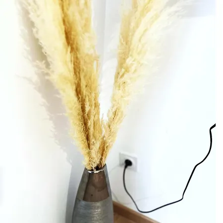 Maison Charmante - Pro & Famille - Confort - 5