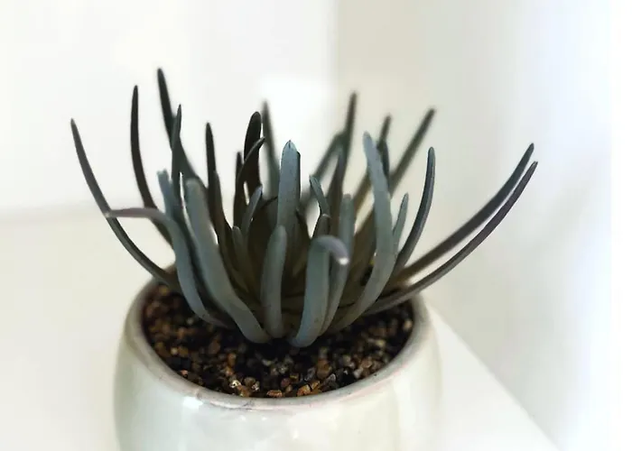 Maison Charmante - Pro&famille - Confort - 5 * Valenciennes