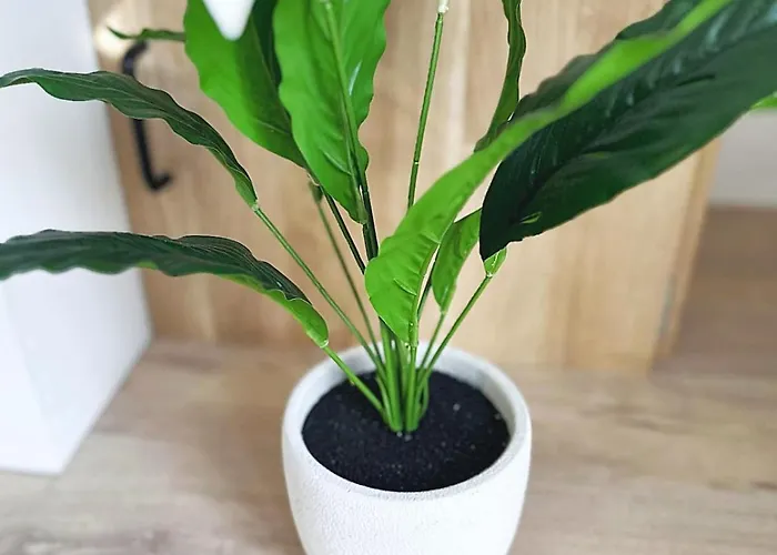 Maison Charmante - Pro&famille - Confort - 5 Hébergement de vacances