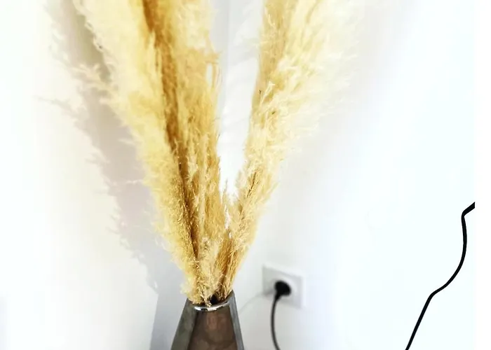 Maison Charmante - Pro&famille - Confort - 5